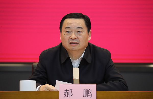 郝鵬、國資、央企、國資委、書記、主任、國企、企業(yè)改革