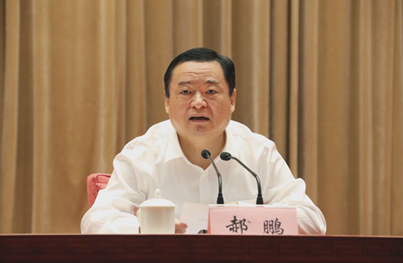 郝鵬、國資、央企、國資委、書記、主任、國企、企業(yè)改革